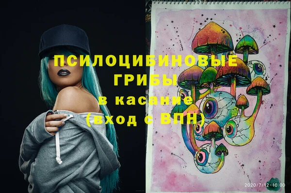 MDMA Инсар