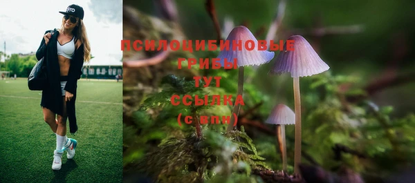 a pvp Зеленодольск