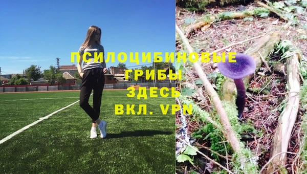 a pvp Зеленодольск