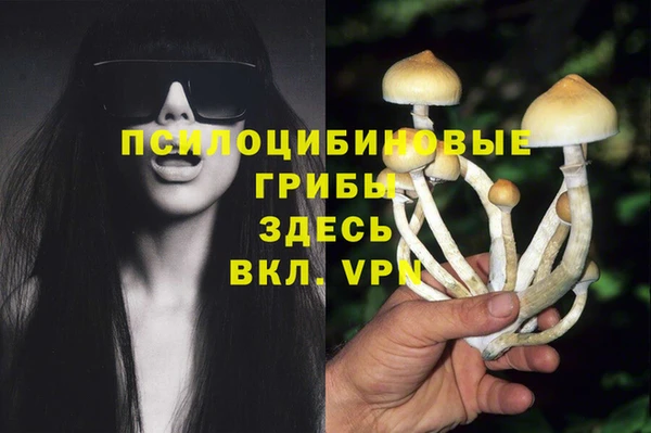 марки nbome Зеленокумск