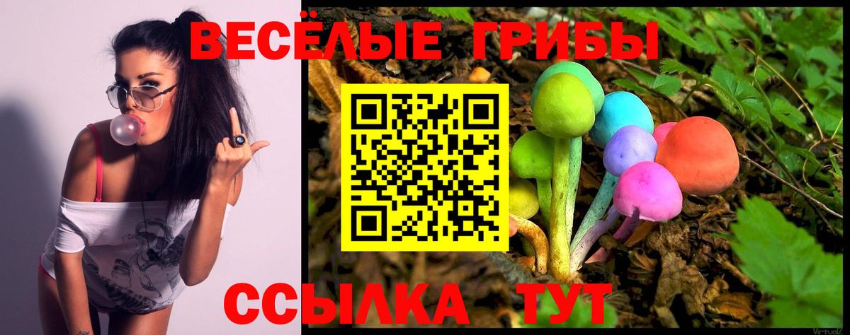 Галлюциногенные грибы Magic Shrooms Карталы