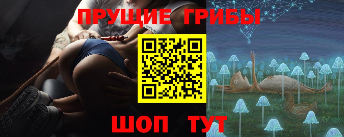 Псилоцибиновые грибы прущие грибы  Вход с VPN  Карталы 